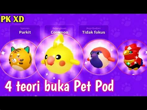 Teori Buka Pet Pod Di Pk Xd Update Terbaru Youtube