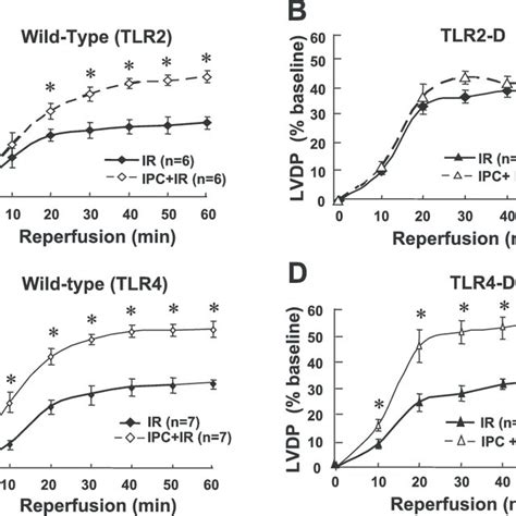 Effect Of Toll Like Receptor 2 Tlr2 And Tlr4 Deficiency On Ipc A Download Scientific