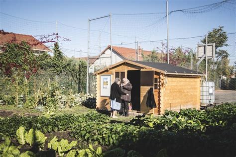 Un deuxième jardin partagé ouvre à Montluçon dans le quartier des