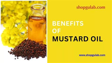 Ppt Benefits Of Mustard Oil Powerpoint Presentation Free Download