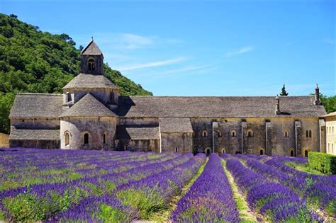 20 Superior Wine Tours in France to Book in 2024 – Emily Embarks