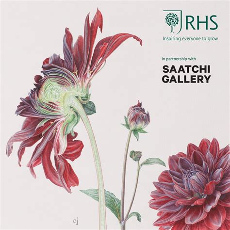 Rhs Botanical Art And Photography Show 2021 Exhibition At Saatchi