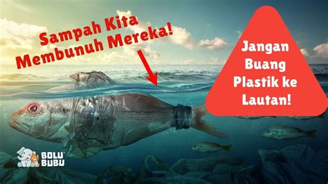 Kok Ikan Makan Plastik Gak Sengaja Atau Ganti Selera Youtube