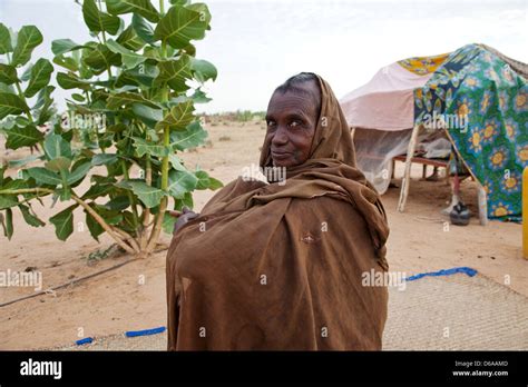 Wodaabe Women Fotografías E Imágenes De Alta Resolución Alamy