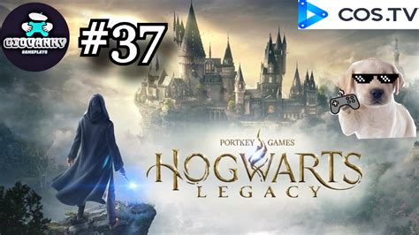 Hogwarts Legacy Campa A Espa Ol Latino Parte Gameplay Cos Tv