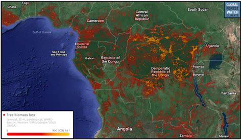 Tropical deforestation now emits more CO2 than the EU