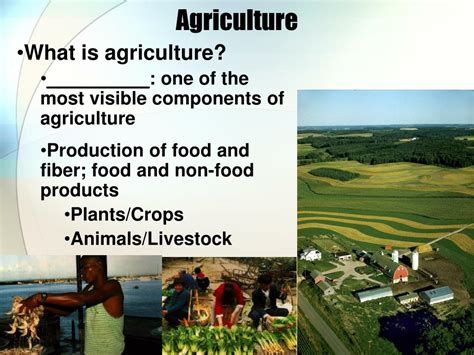 Ppt Agriculture And The Environment Powerpoint Presentation Free