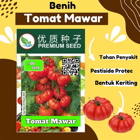 Jual Benih Biji Bibit Tomat Mawar Premium Seed Extra Perstisida