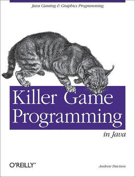 Killer Game Programming In Java By Andrew Davison Paperback