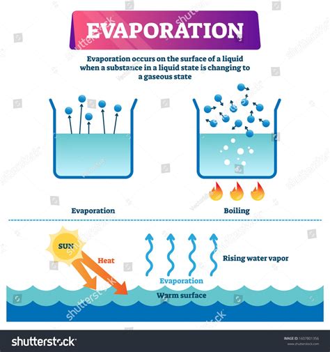 Evaporation Vector Illustration Labeled Liquid Surface Stock Vector