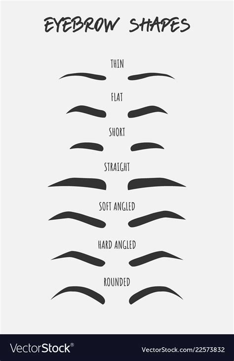 Set Different Types Female Eyebrows Royalty Free Vector