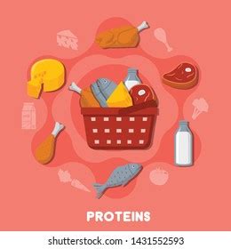 Vector Illustration Different Sources Protein Food Stock Vector