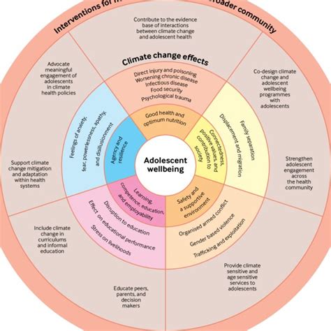 Adolescent Wellbeing Framework Described By The H6 Technical