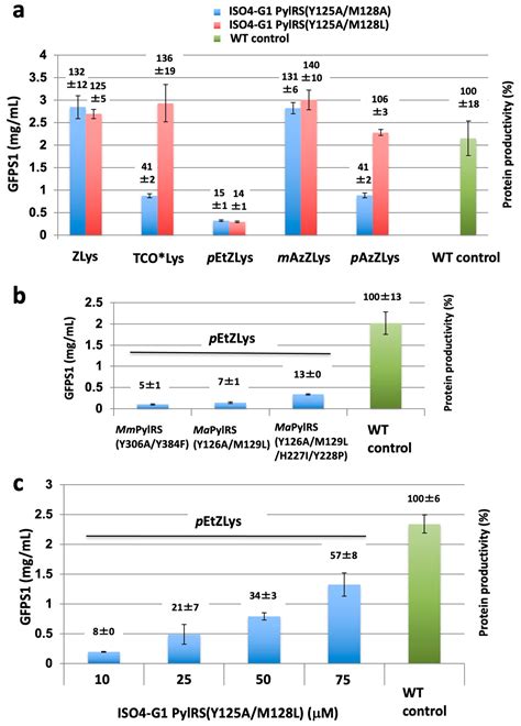 Ijms Free Full Text Crystal Structure Of Pyrrolysyl Trna Synthetase