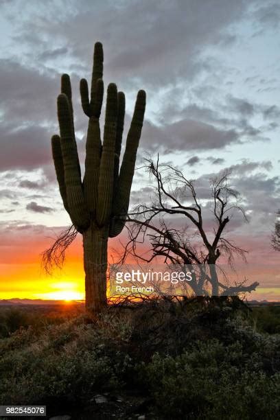 Dry Monsoon Photos And Premium High Res Pictures Getty Images