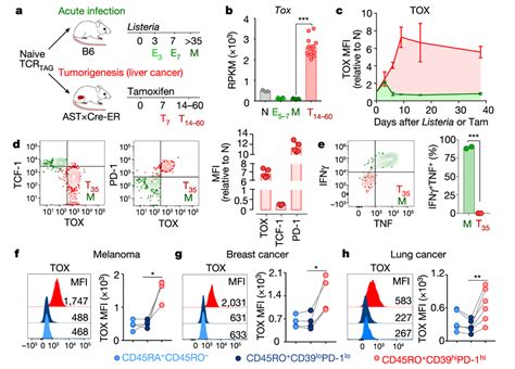 Tox Is A Critical Regulator Of Tumour Specific T Cell Differentiation