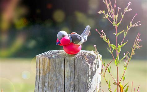 Balloon Birds Caught In Their Natural Habitat Artofit