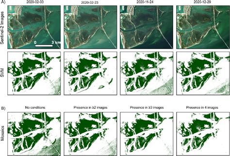 Seagrass Classification In Different Sentinel 2 Images Using The Svm Download Scientific