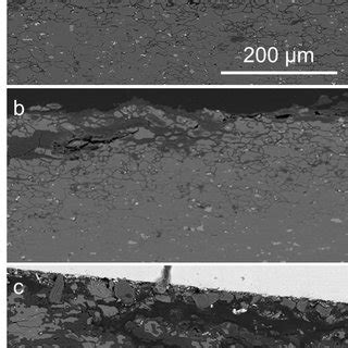 The Cross Section FE SEM Images Of AA7075 Specimen After Immersion In