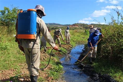 Prefeitura do Crato realiza ações intersetoriais de combate ao mosquito