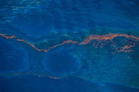 The 14 Biggest Oil Spills In History