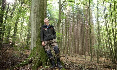 Sekretne Ycie Drzew Peter Wohlleben Rezenzja I Por Wnanie