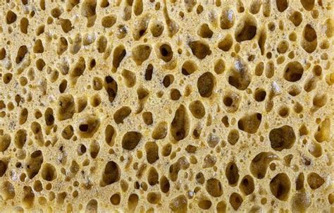 sponge pattern stock  images  backgrounds