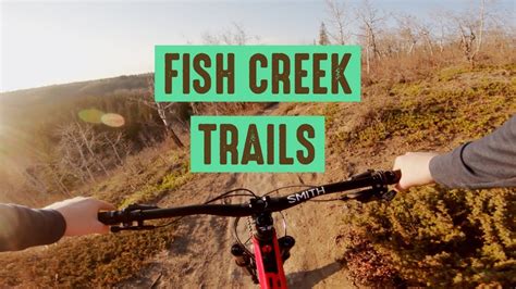 Fish Creek Biking Trails In Southern Calgary Youtube