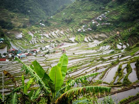 Visiting the rice terraces of Batad Stock Photo | Adobe Stock