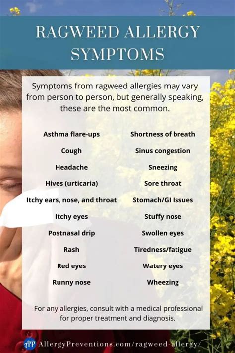 Ragweed Allergy Guide To Understanding The Culprit