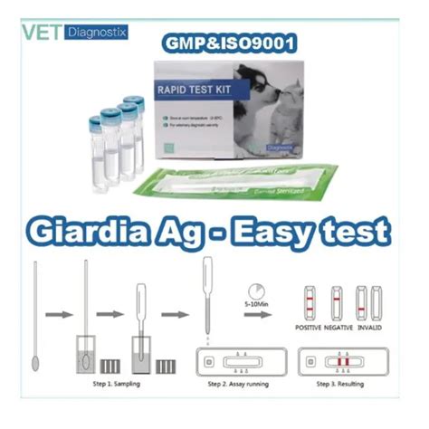 Giardia Lamblia Antigen Rapid Test Rapid Test And Giardia Lamblia