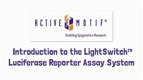 Introduction To The Lightswitch Luciferase Reporter Assay