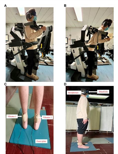 Figure 2 From The Associations Between Lumbar Proprioception And