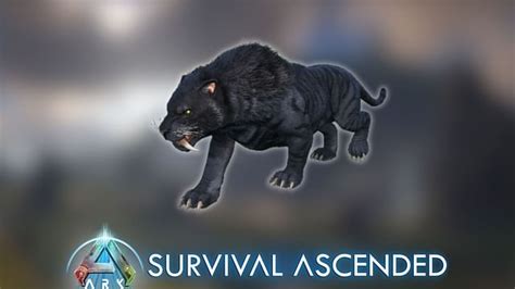 ARK Survival Ascended Sabertooth taming guide