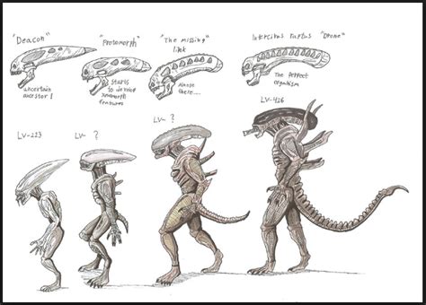 xenomorph types artofit