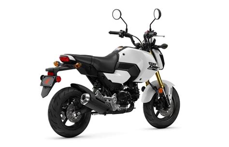 Honda Grom Abs Review Total Motorcycle