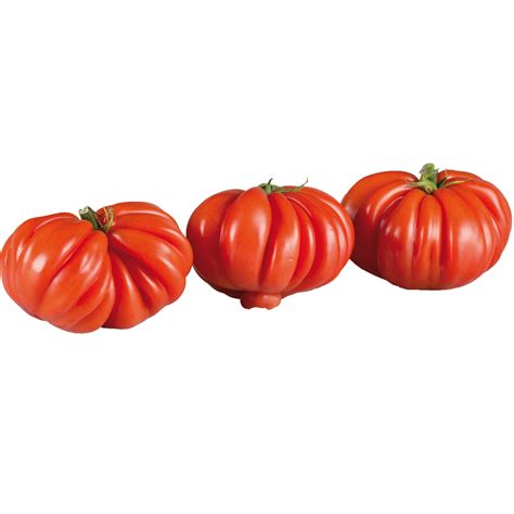 Transgourmet Österreich Fleischtomate KL 1 7 kg ca 16 Stk 7 kg