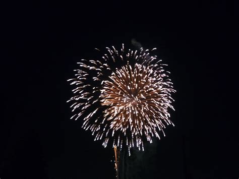 Fuegos Artificiales Puebla Fireworks Plants Dandelion