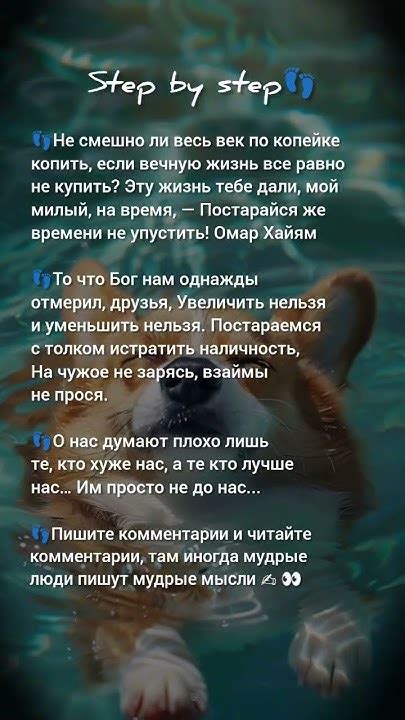 #мудрость #истина - YouTube