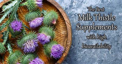 Best Milk Thistle Supplements With High Bioavailability Superfood