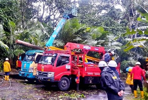 Satu Rumah Warga Rusak Terdampak Hujan Dan Angin Kencang Pohon Pohon