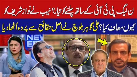 Pmln Ready To Go With Pti Why Did Nab Forgive Nawaz Sharif Ali