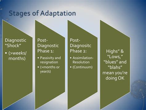 Stages Of General Adaptation Syndrome