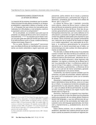 Aspectos Anatomicos Y Funcionales Rea De Broca Pdf