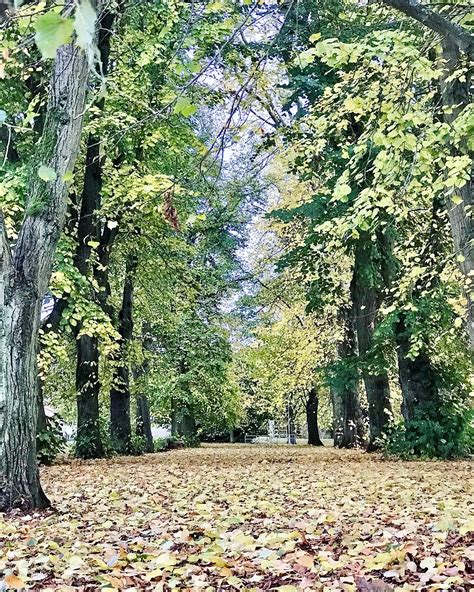 Danielle Raine - Creative Coach