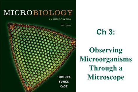 Ch 3: Observing Microorganisms Through a Microscope