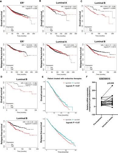 Full Article ECM1 Is Associated With Endocrine Resistance In ER