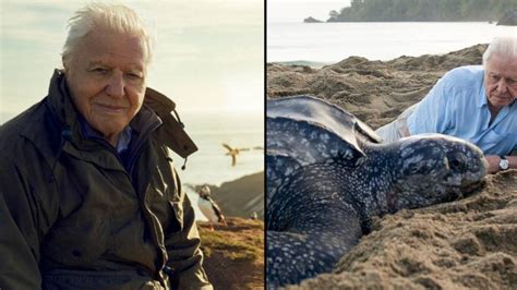 David Attenborough earned a staggering amount per minute from latest TV shows