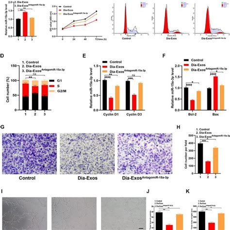 Inhibition Of MiR 15a 3p Partially Reversed The Impaired Functionality