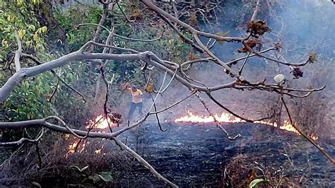 Fire in PoK forest spreads to Indian side, security forces on alert